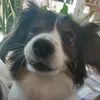 jo_xxx0