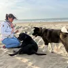 maggie9635