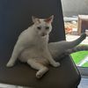 fuckinfatty638392