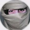 waseel2024