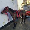 johnnyb_79