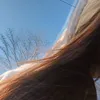 emicurima_