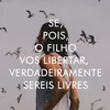 andress243
