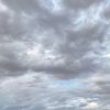 arra_678