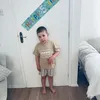stealabrainrottrading354