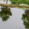 আকাশ