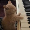 200daysofpiano