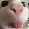 salma_belle6