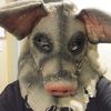 professionalcrashout420f