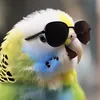 creepy_banan99