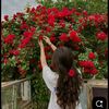 itx_angle26