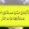 user9638560009081