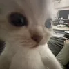 _.prinwincx
