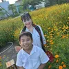 hongvan91.91