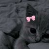 hugz_may