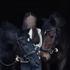 z_horses