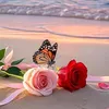 user7840413934070