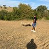 emre.elinowa