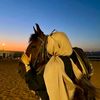 queen_batha8