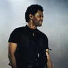 the_weeknd.fan_