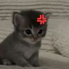 nna0na1