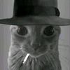 harold.chamorro