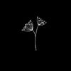 vyce666_