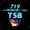719.tsb