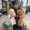 viet_pham_fruit