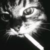 randy_2482