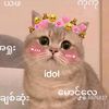 user3971348178115