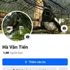 havantien35