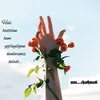 _leylame