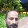 shams8384