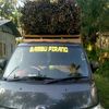 zainuddin.zainudd82