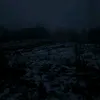 mila._6664