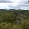 pereira42pereira4
