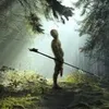 forestteapc