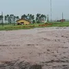 aldairvieira9664