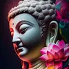 Buddha Daily