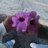 jessy.estefania