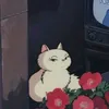 illyiz