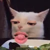 nguyenkimngan386