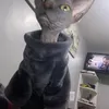 aggythenakedkitty2a0