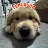 tenlasun