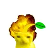 cactus_danstfes