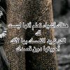 user8817911901433