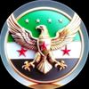 shadiawwfy