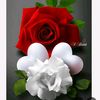 user8193204572379