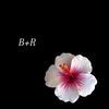 acecqb